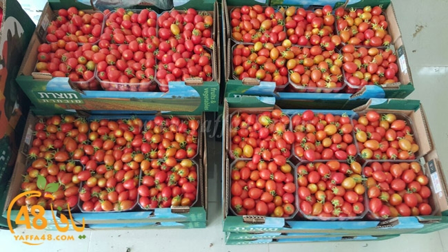 trod ramla kheri (13).jpg